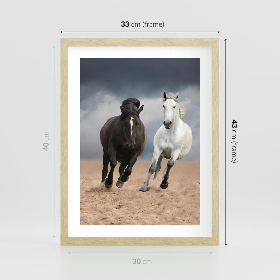 Plakat w ramie 30x40 - Siła koni w galopie - konie, galop - rama drewno