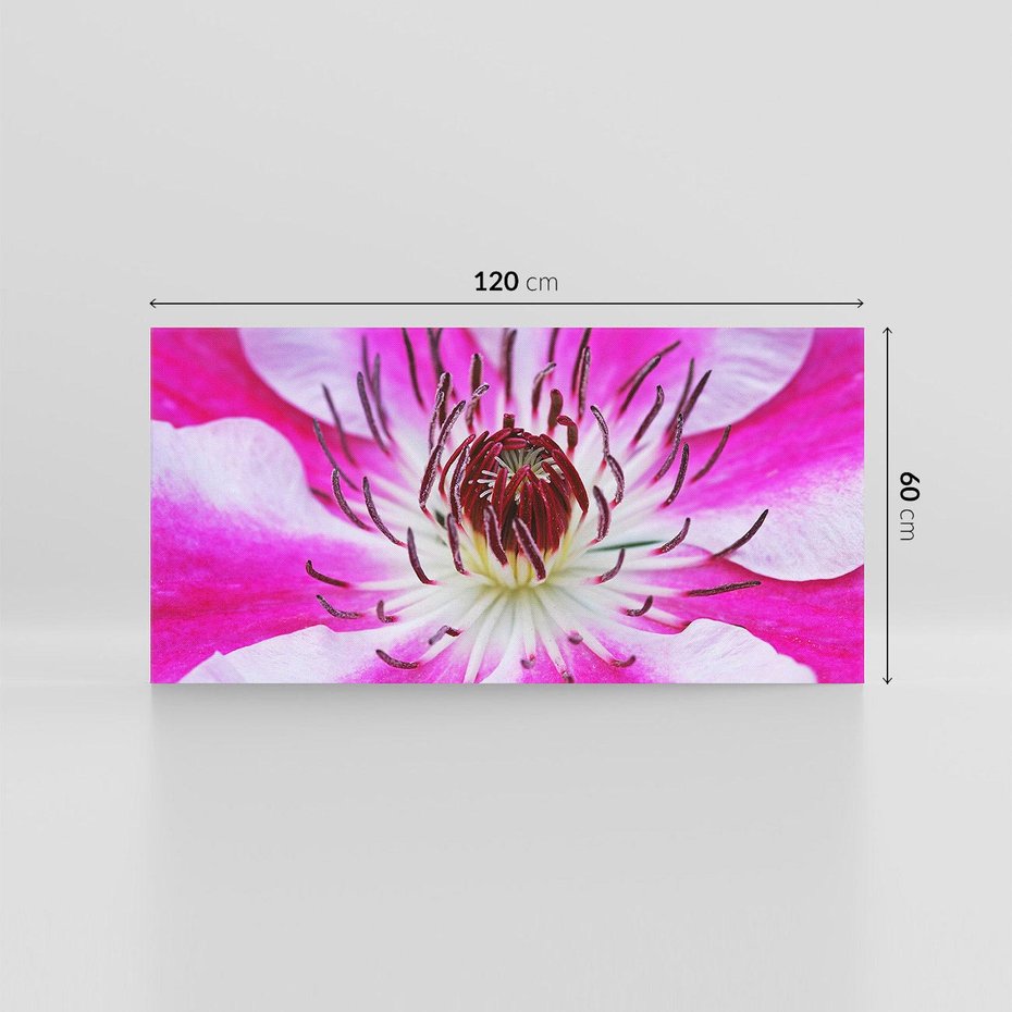 Obraz na płótnie 120x60 - delikatność natur - kwiat, kwiaty