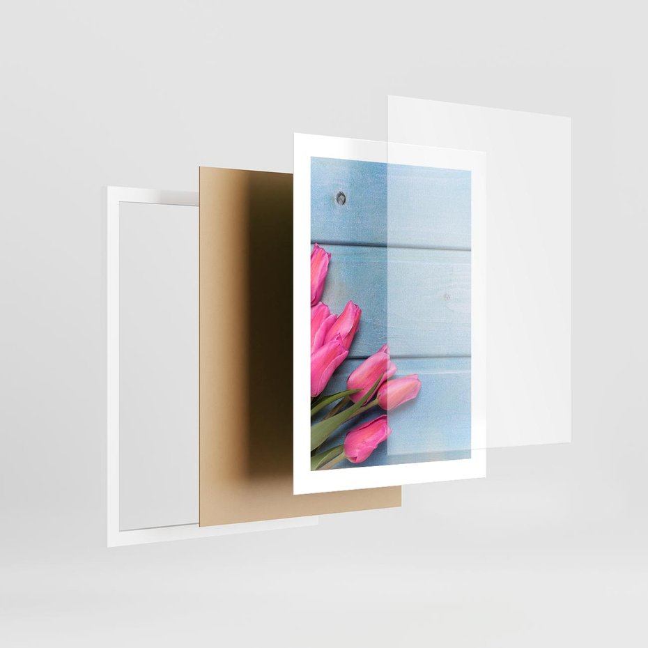 Plakat w ramie 30x40 - Piękno w pełnym rozkwicie - kwiaty, tulipany - rama biała