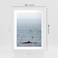 Plakat w ramie 30x40 - Spotkanie z Orką - morze, ocean - rama biała