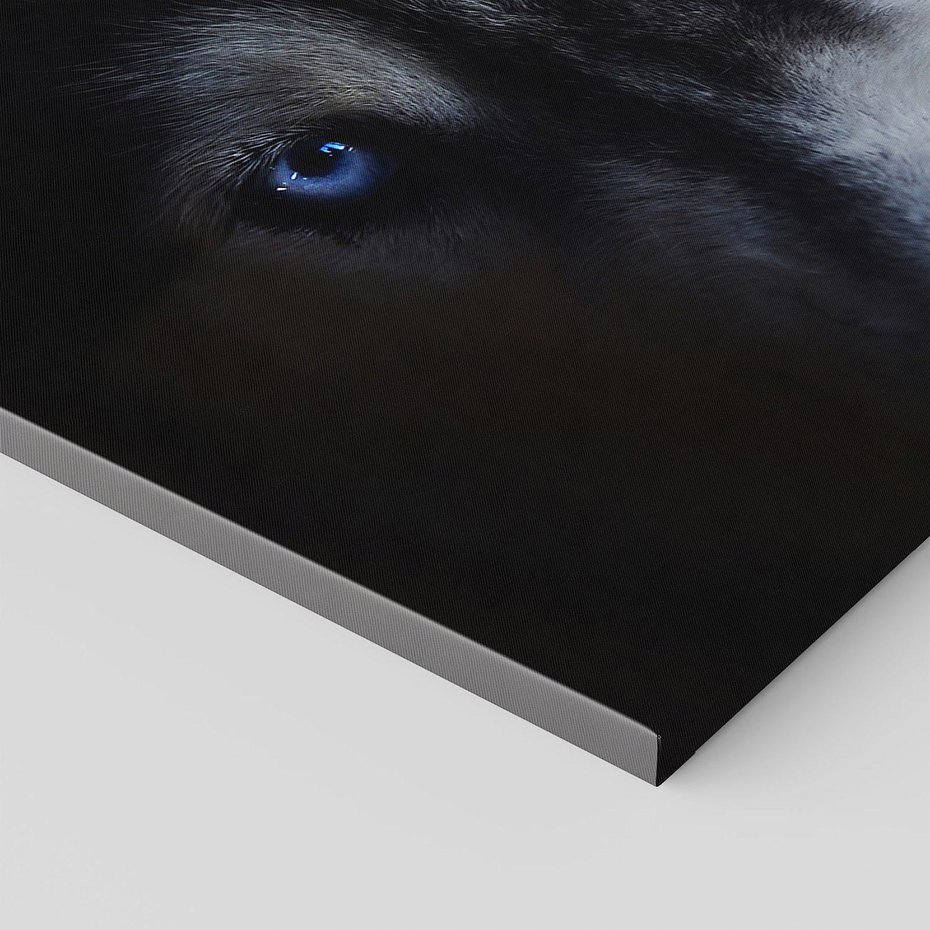 Obraz na płótnie 120x80 - Wilk i husky: siła przyjaźni - wilk, husky