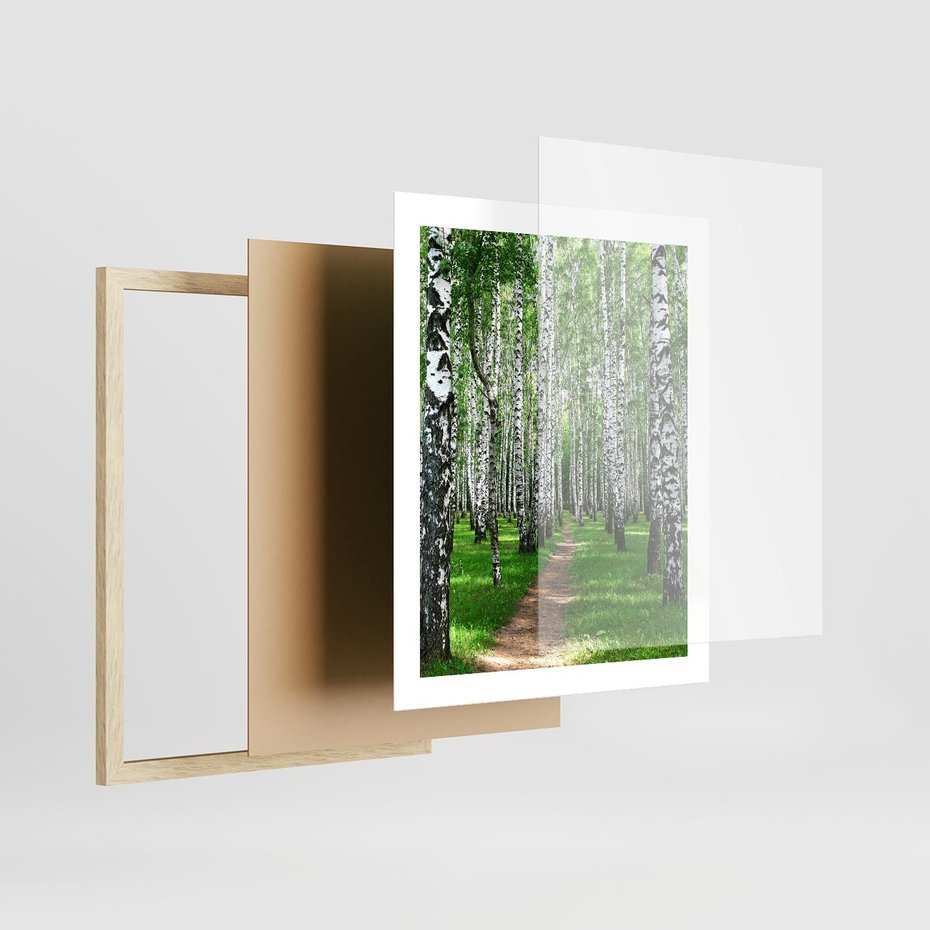 Plakat w ramie 40x50 - Bajkowy las pełen brzóz - las, brzozy - rama drewno
