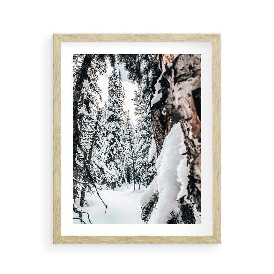 Plakat w ramie 40x50 - Drzewa pod Śniegiem - zima las, drzewa pod śniegiem - rama drewno