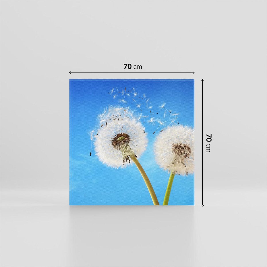 Obraz na płótnie 70x70 - wiatr pełen marzeń - dmuchawce, wiatr