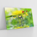 Obraz na płótnie 120x80 - Deszczowa Biedronka - biedronka, deszcz