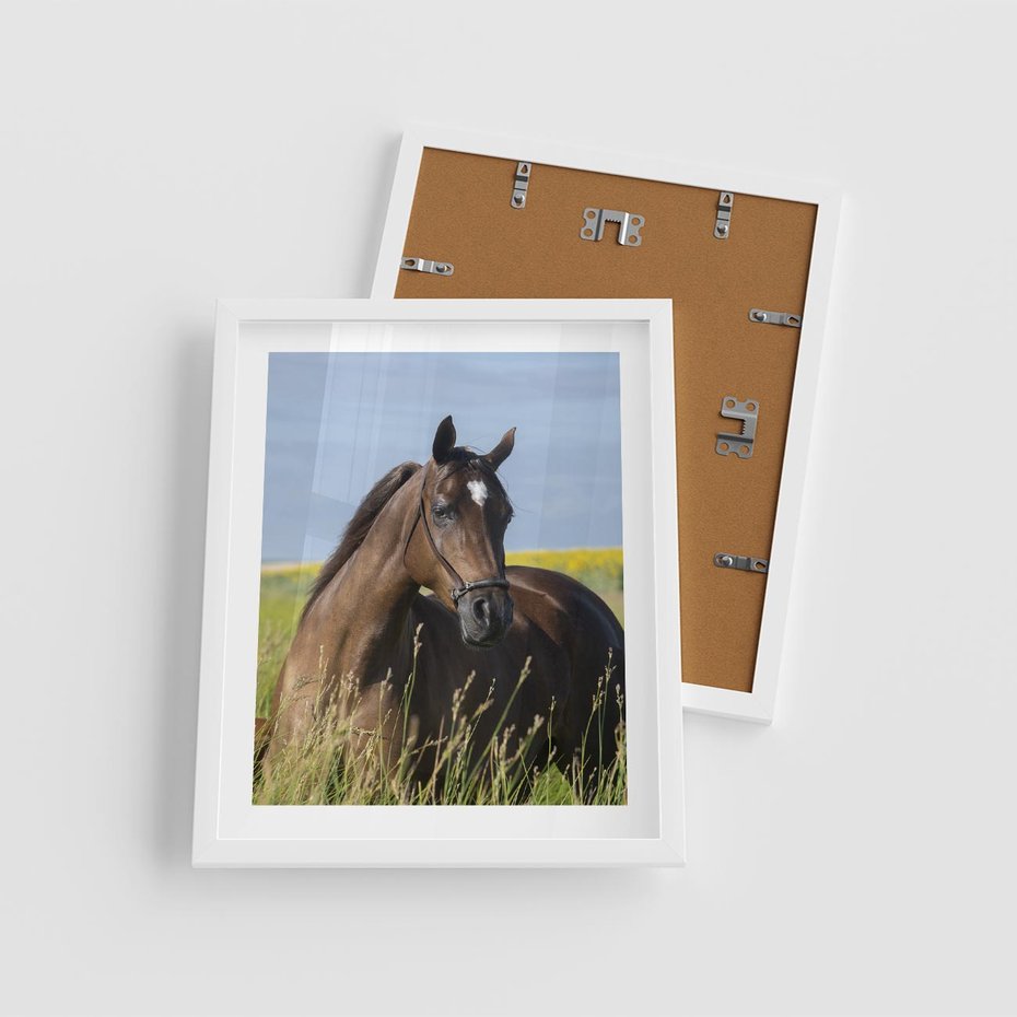 Plakat w ramie 40x50 - Siła i piękno natury - koń, łąka - rama biała