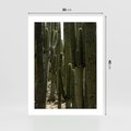 Plakat bez ramy 30x40 - Wyjątkowy Klimat Boho - kaktusy, pustynia