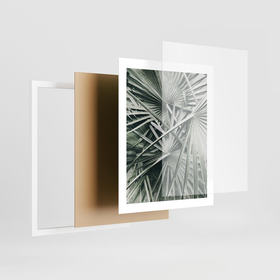 Plakat w ramie 40x50 - Palmy w Zgaszonej Zieleni - palmy, tropikalne liście - rama biała