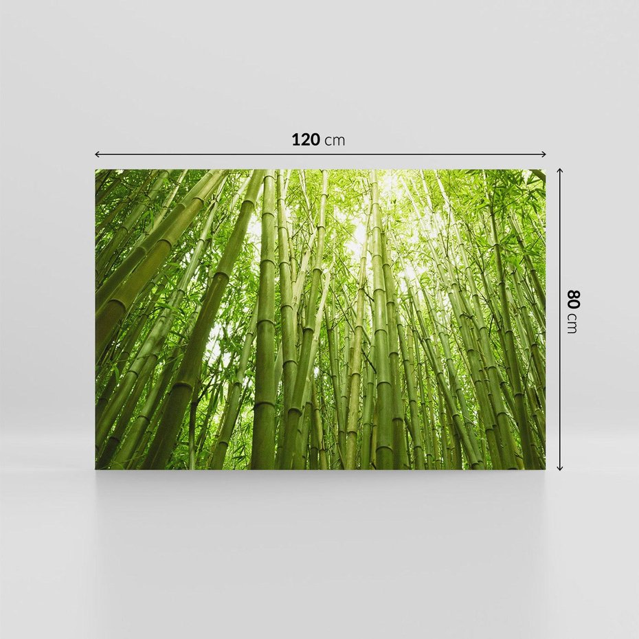 Obraz na płótnie 120x80 - Siła Natury - drzewa, las