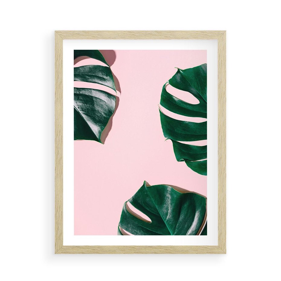 Plakat w ramie 50x70 - Siła Natury - liście, monstera - rama drewno