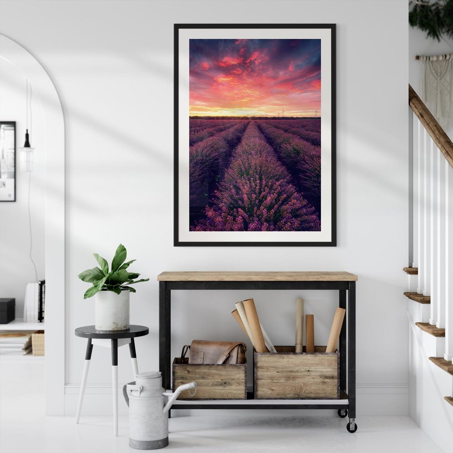 Plakat w ramie 30x40 - Różowe Niebo nad Polami - pola lawendy, zachód słońca - rama czarna