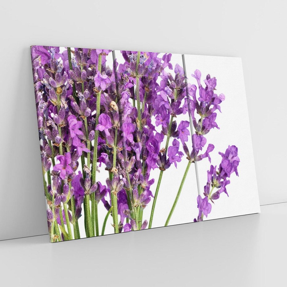 Obraz na płótnie 120x80 - Pola lawendy w pełnym rozkwicie - lawenda, kwiaty