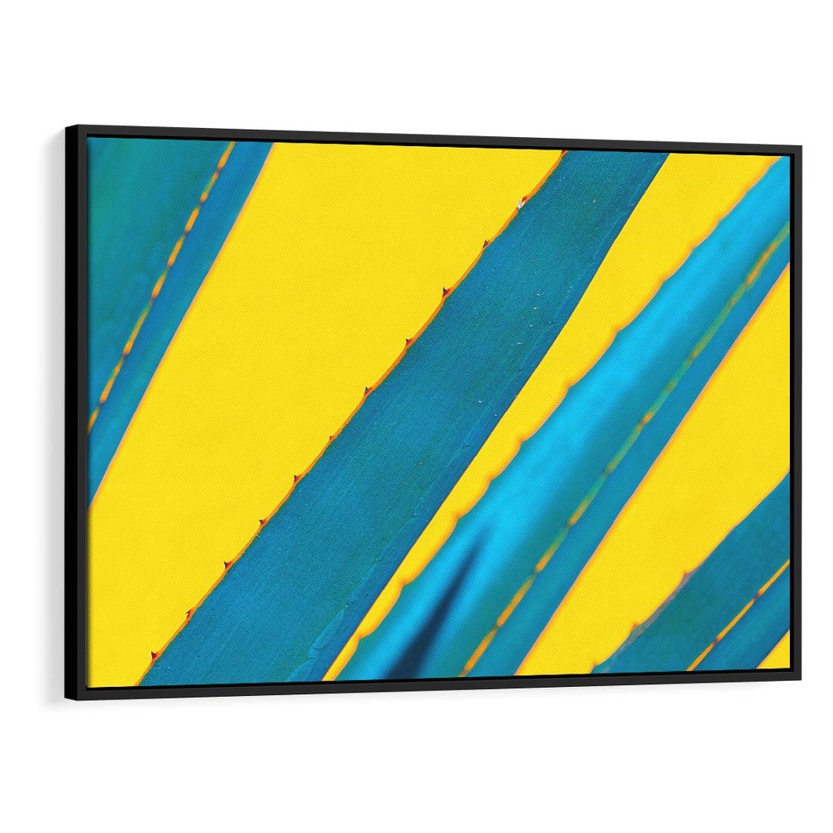 Obraz w ramie 70x50 - Świeżość Natury - aloes, liście - rama czarna