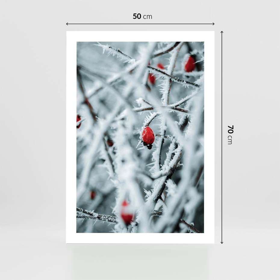 Plakat bez ramy 50x70 - Zima na Gałęziach - zima, oszronione gałęzie