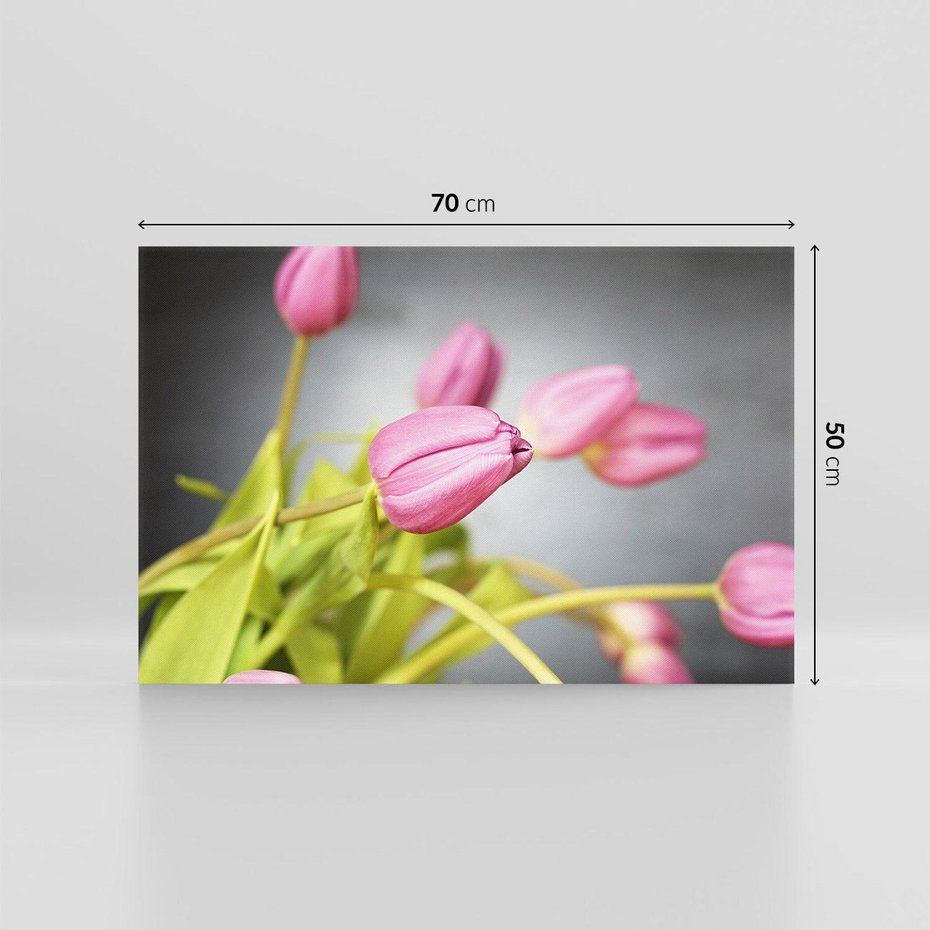 Obraz na płótnie 70x50 - Tulipanowy urok - tulipany, kwiat