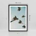 Plakat w ramie 50x70 - Palmy i Niebo - palmy, ujęcie z dołu - rama czarna
