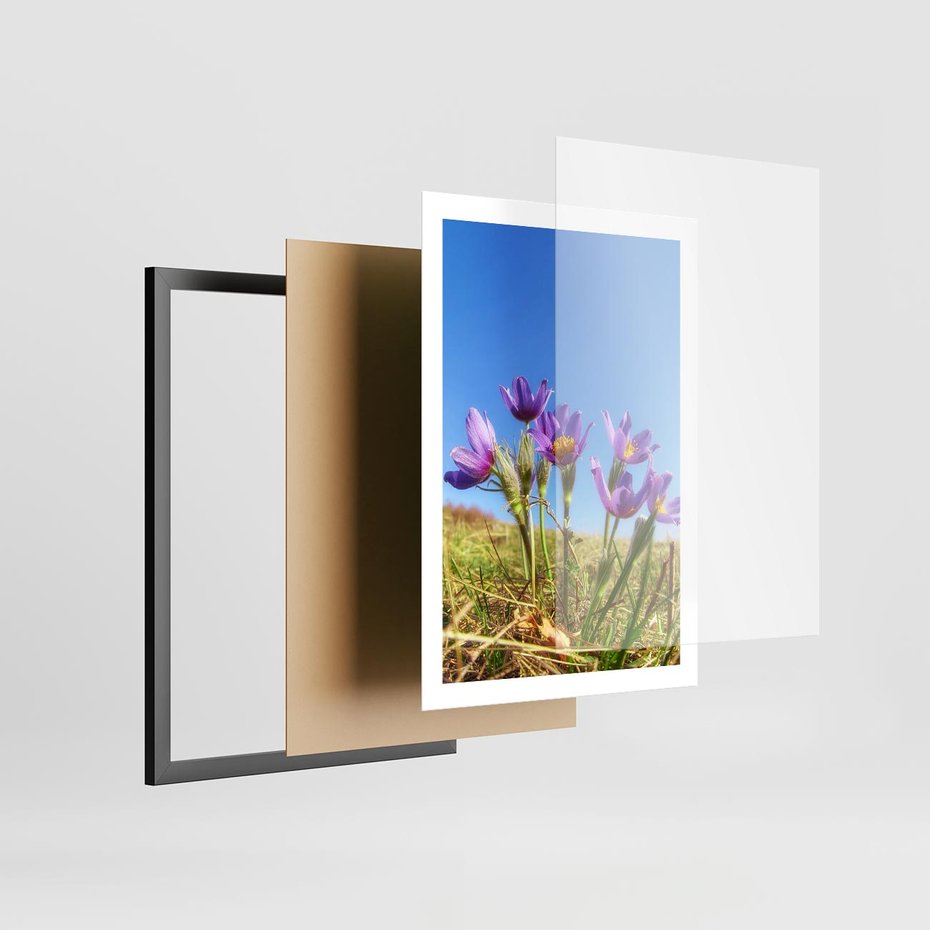 Plakat w ramie 50x70 - Kwiatowa siła łąki - kwiaty, łąka - rama czarna