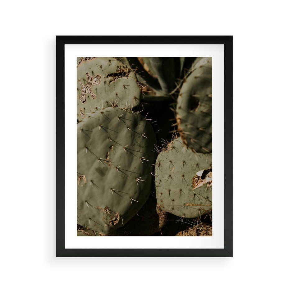 Plakat w ramie 40x50 - Urok Egzotyki - kaktusy, boho - rama czarna