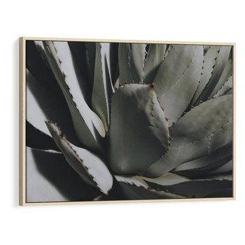 Obraz w ramie 120x80 - Sukulenty wśród kaktusów - sukulenty, kaktusy - rama drewno