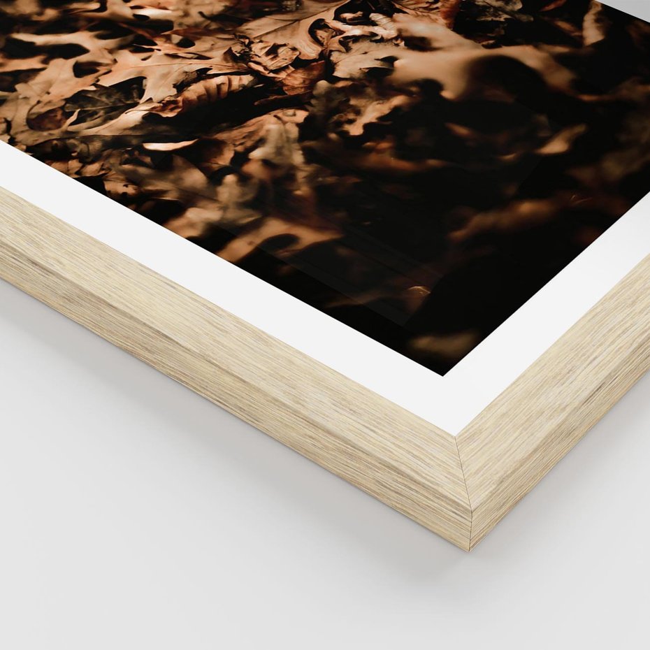 Plakat w ramie 50x70 - Jesienne Liście: Nostalgiczna Kolorystyka - suche liście, jesień - rama drewno