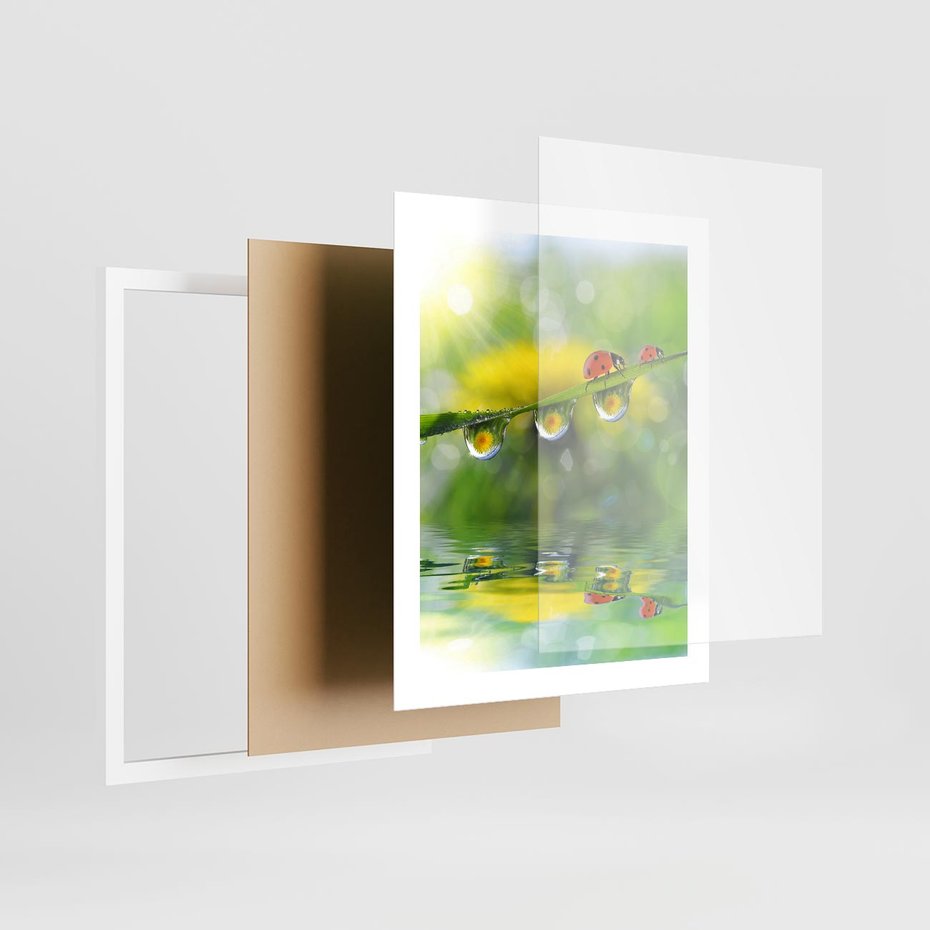Plakat w ramie 40x50 - Deszczowa Biedronka - biedronka, deszcz - rama biała