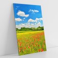 Obraz na płótnie 80x120 - Malownicze maki na łące - maki, łąka