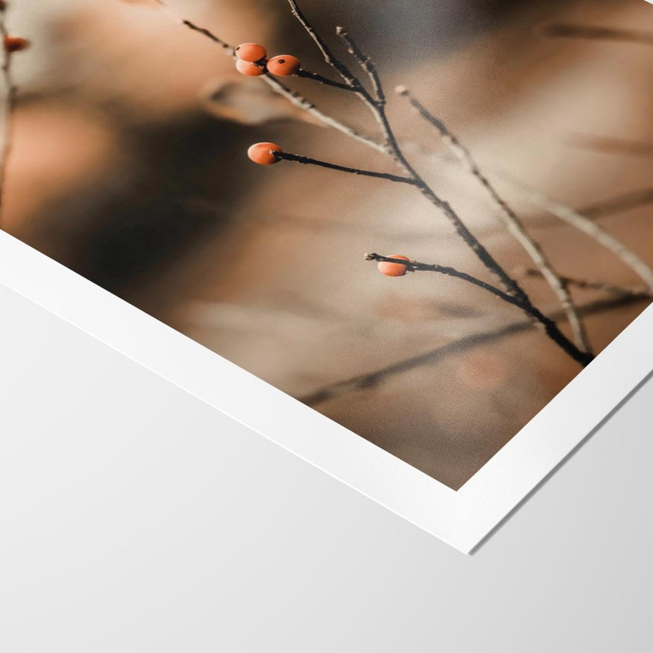 Plakat bez ramy 30x40 - Jarzębina w Pejzażu - jesień, gałązka