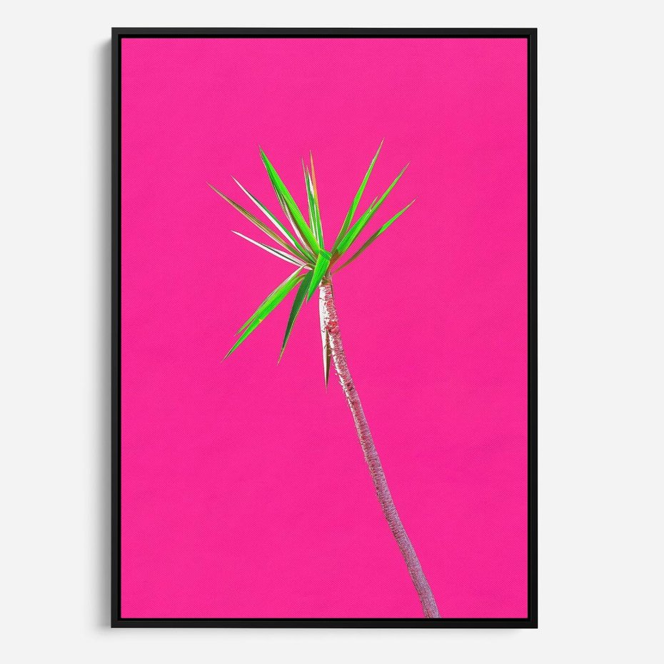 Obraz w ramie 50x70 - Retro Stylizacja - palma, liście - rama czarna