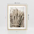 Plakat w ramie 30x40 - Letni Plon - zboże, kłosy zboża - rama drewno