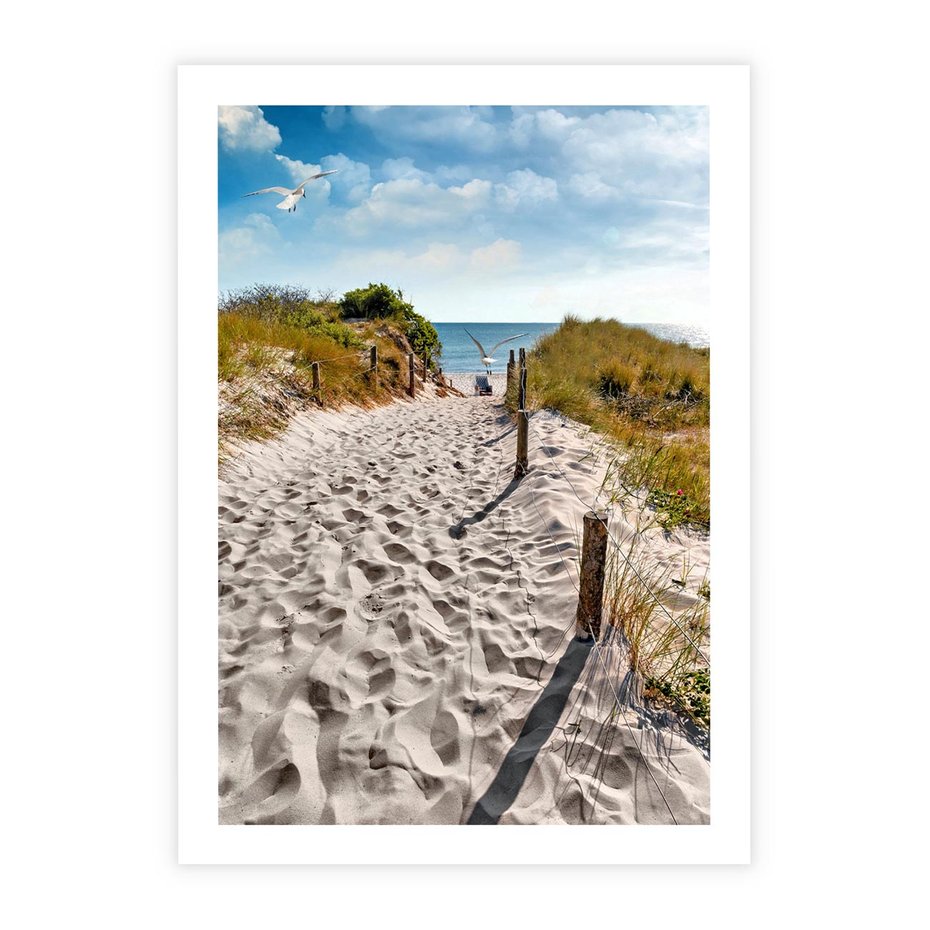 Plakat bez ramy 30x40 - Mewy nad Morzem - plaża, mewy