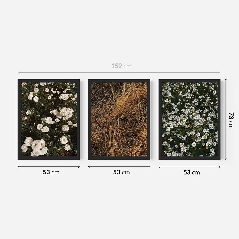 Zestaw obrazy w ramie 50x70 galeria - Boho, kwiaty, suche, trawy - rama czarna