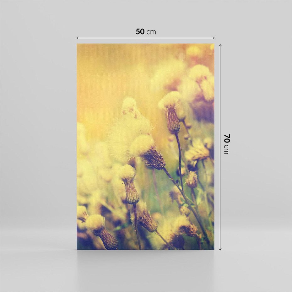 Obraz na płótnie 50x70 - Natura w pełnym rozkwicie - łąka, natura
