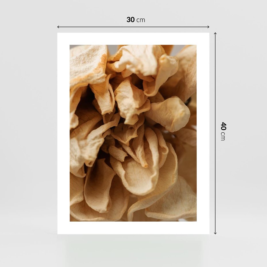 Plakat bez ramy 30x40 - Zjawiskowe zasuszone kwiaty - zasuszone, kwiaty