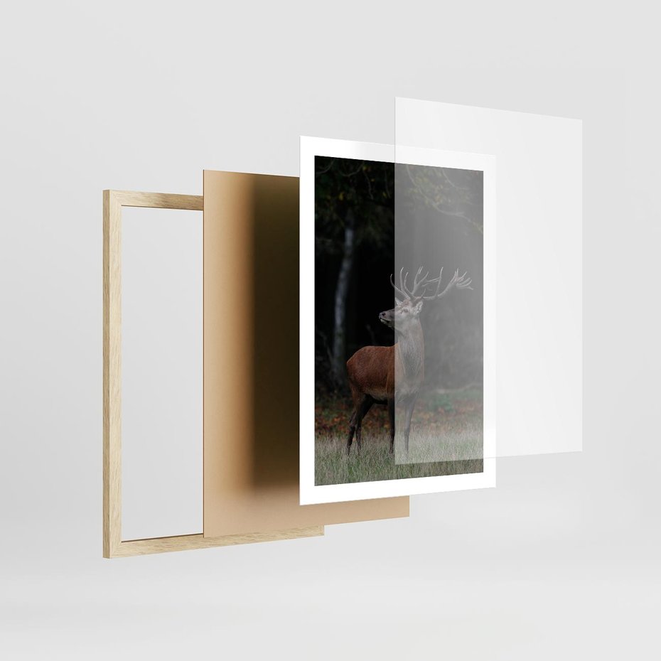 Plakat w ramie 50x70 - Spotkanie z naturą - jeleń, las - rama drewno