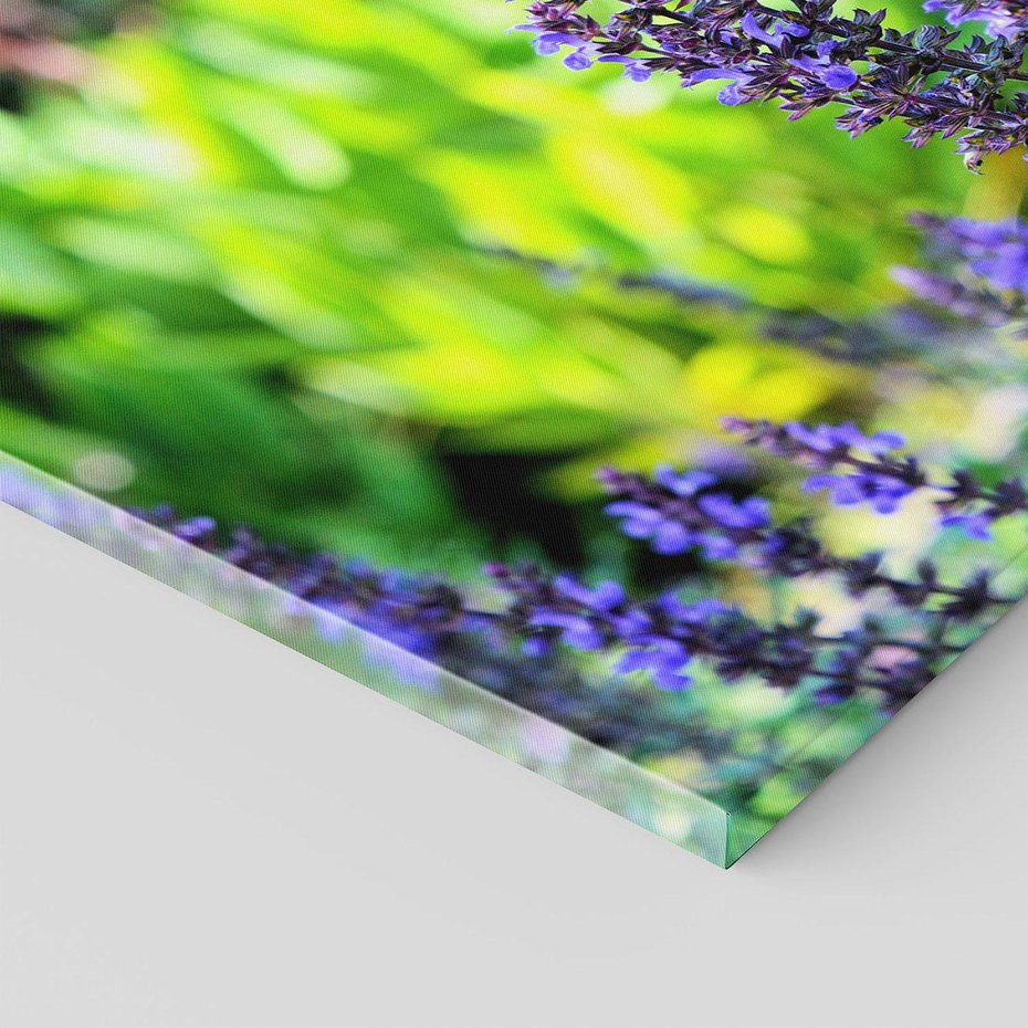 Obraz na płótnie 70x50 - Ogród Lawendowy - lawenda, kwiat