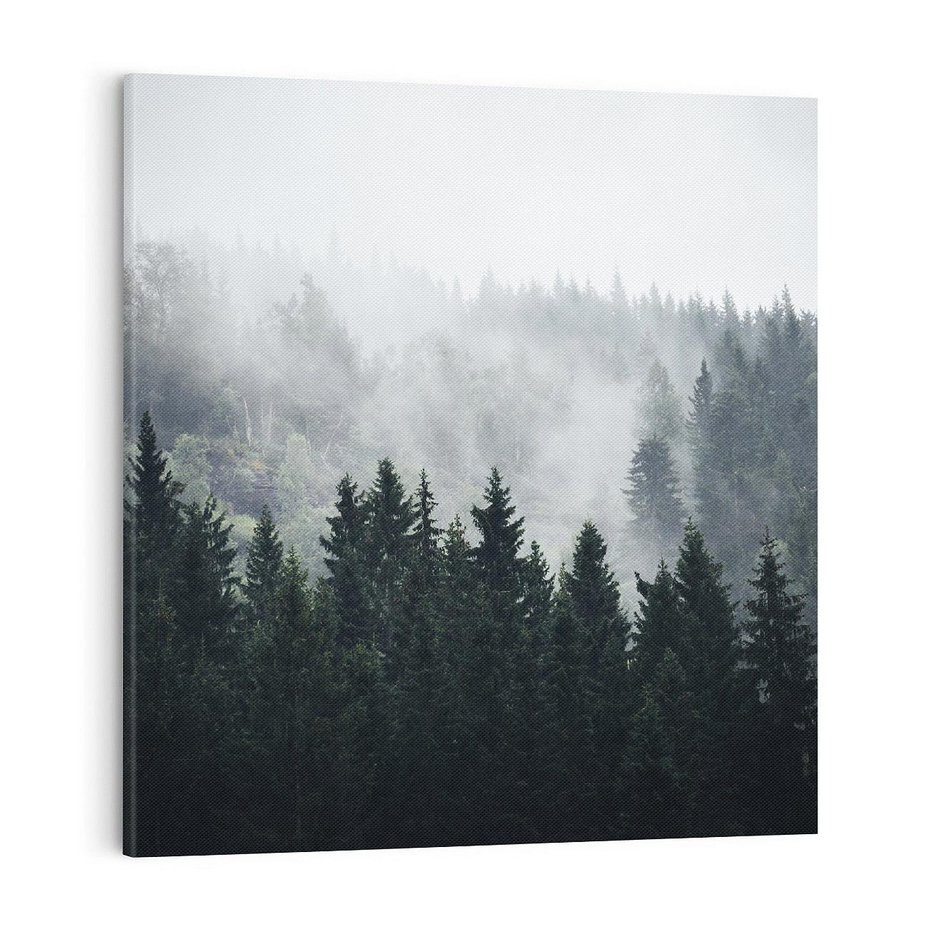Obraz na płótnie 40x40 - Las w górach: mistyczna mgła - las, góry