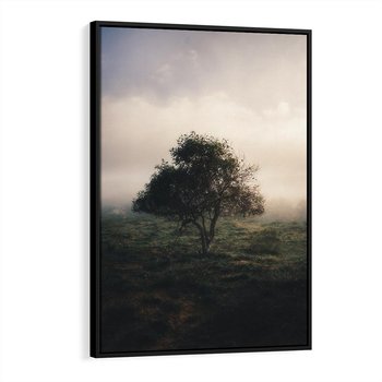 Obraz w ramie 50x70 - Zamglona Prostota - artystyczna fotografia, samotne drzewo na zamglonej łące - rama czarna
