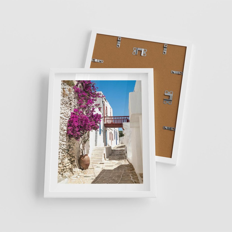 Plakat w ramie 40x50 - Kwiaty Chorwacji - kwiaty, Chorwacja - rama biała