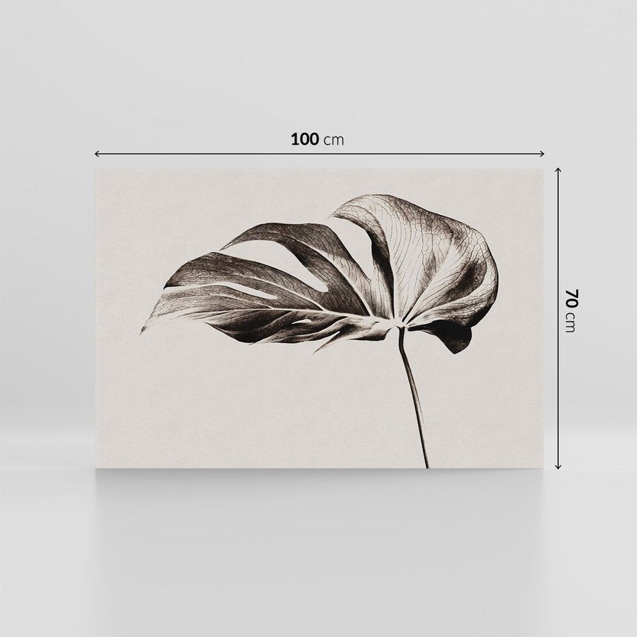 Obraz na płótnie 100x70 - Szapczący Liść - szkic, czarno biały