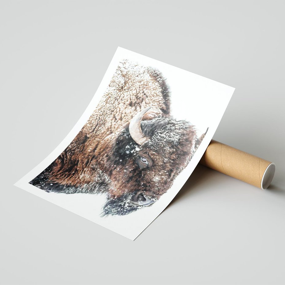 Plakat bez ramy 21x30 - Obraz Dzikiej Przyrody w Śnieżnym Otoczeniu - żubr, śnieg