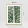 Plakat w ramie 40x50 - Zielone Wielkości: Zbliżenie Liścia - zbliżenie duz liść, jasna zieleń - rama drewno
