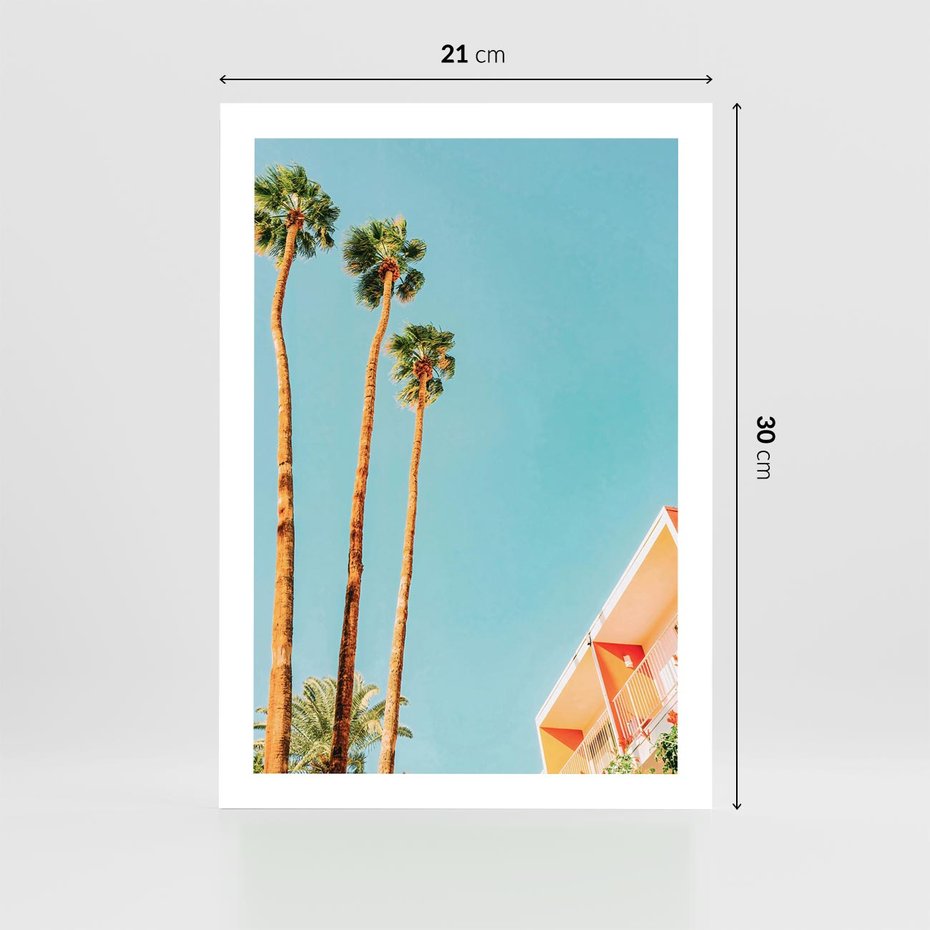 Plakat bez ramy 21x30 - Letnie Marzenia - palmy, na tle nieba
