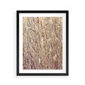 Plakat w ramie 40x50 - Suche Trawy w Wyjątkowym Stylu - suche trawy, boho styl - rama czarna