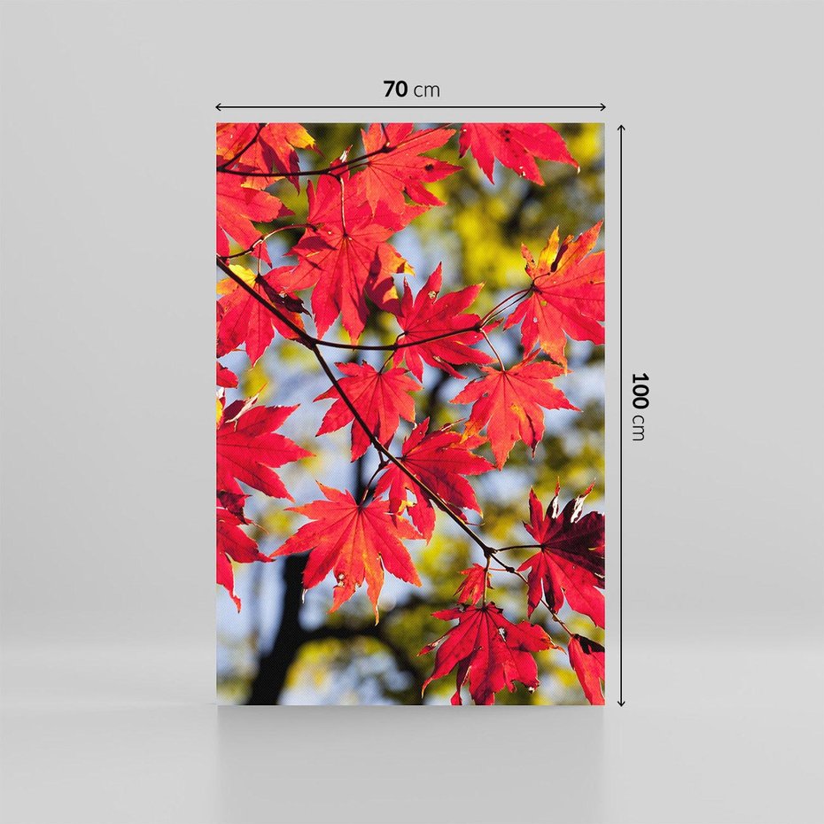 Obraz na płótnie 70x100 - Jesienny Urok Drzewa i Opadających Liści - drzewo, liście