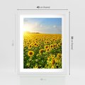 Plakat w ramie 40x50 - Idylla na łące słoneczników - łąka, słoneczniki - rama biała