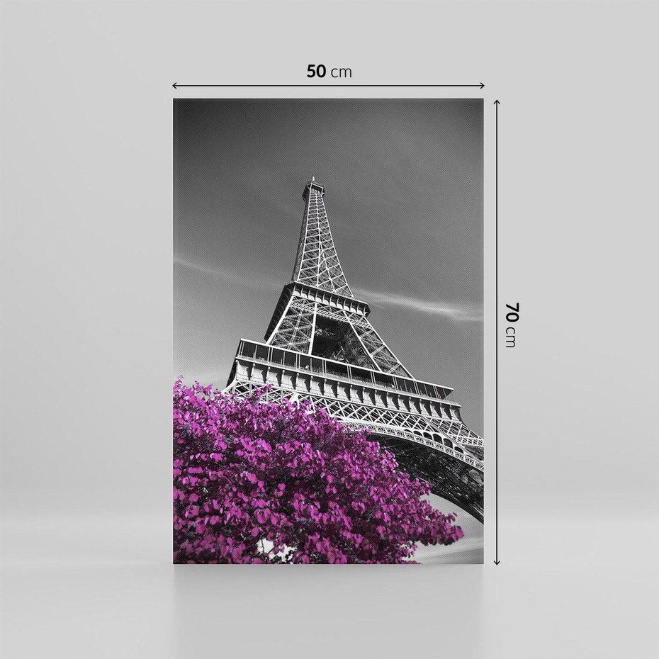 Obraz na płótnie 50x70 - Urok Eiffla w Paryżu - Eiffla, Paryż