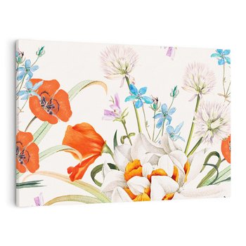 Obraz na płótnie 120x80 - Polne Kwiaty - polne kwiaty, na białym tle