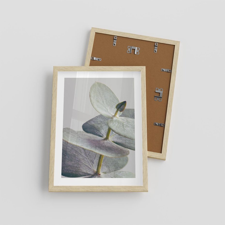 Plakat w ramie 30x40 - Zbliżenie Liści Eukaliptusa - eukaliptus, zbliżenie - rama drewno