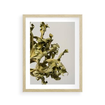 Plakat w ramie 40x50 - Odejście pory deszczowej - suche, trawy - rama drewno