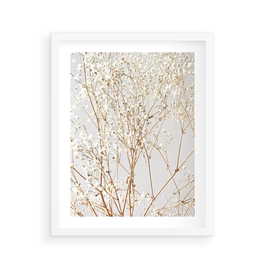 Plakat w ramie 40x50 - Minimalistyczna Delikatność - białe kwiaty, gipsówka - rama biała